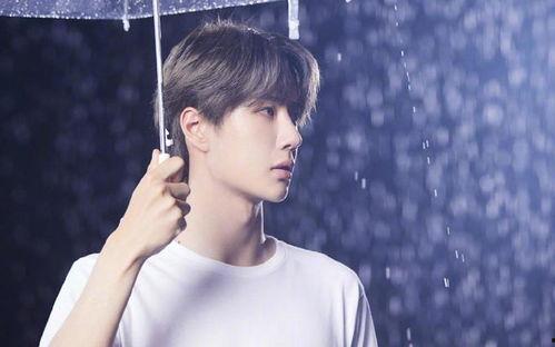 娱乐圈王一博爆料,娱乐圈背后的那些事儿