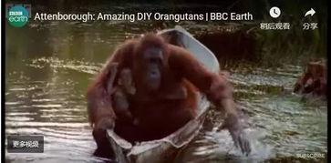 亚种2在线观看,在线观看揭秘神秘生物之谜 第3张 亚种2在线观看,在线观看揭秘神秘生物之谜 第3张